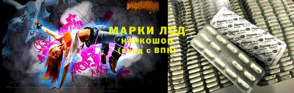 мяу мяу мука Новозыбков